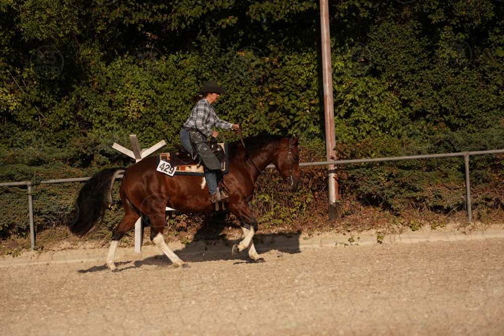 s_A_906764.JPG